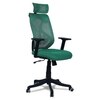 Zeeazyana High Back Ergonomic Chair in Dark Green Colour