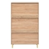 Exotica Shoe Cabinet for 24 Pairs – Large Capacity Wooden Shoe Storage Cabinet