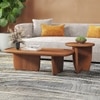Kaya Solid Wood Coffee Table in Amber Walnut Finish