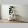 Scandinavian Forres Oak Side Table in Beige Colour