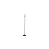 Ewan Glass Floor Lamp with Black Iron Base