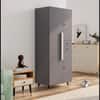 Hexa Red Wooden 2 Door Wardrobe with Drawer and Hanging Space in Slate Grey Colour
