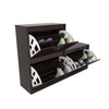 Kamiya Engineered Wood Shoe Rack In Columbian Walnut Finish