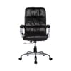 Adiko Puffy Director Chair In Black