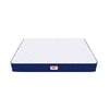 Back Master with NFF Tech Mattress (78 x 42 in, 8 Inches)