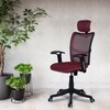 Jeaorda High Back Ergonomic Chair in Maroon Colour