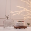 Ireka Homes Wildwood Acacia Wood Cake Stand with Glass Dome
