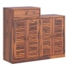 Danta Sheesham Wood  Shoerack  In Honey Oak  Finish