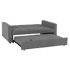 Medas 3 Pull Out Sofa Cum Bed In Dark Grey Colour