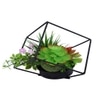 Artificial Succulent Indoor Plant With A Metal Stand