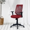 Zeeazyana Mid Back Ergonomic Chair in Red Colour