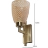 Eliante Modern Wall Lights Mild Steel & Glass Material Antique & Champaign Finish