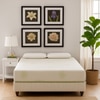 Repose Latexo Lite Bouncy Foam with Crush Latex Mattress (L x W: 72 inch x 48 inch, Thickness 6 Inches )