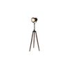 Asher Without Star Floor Lamp Black