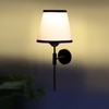 Devansh Metal Electric Wall Light in Black Colour with Multi Shade Count of 1 Light