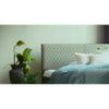 Sutra Engineered Wood Queen Size Bed In Walnut Finish