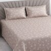 Vine Shade Floral Cotton 400 Tc Flat Super King Size Bedsheet With 2 Pillow Covers