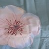 Luna Sea Green Floral 400 TC Cotton Flat King Size Bedsheet with 2 Pillow Covers – Threads