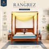 Rangrez Sheesham Wood Queen Size Non Storage Poster Bed in Honey Oak Finish