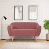 Colam Velvet 2 Seater Sofa Pinck in Colour