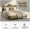 Solara Wave Luxe King Size Bed in velvet With Oak wood Frame & Hydraulic Storage
