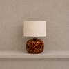 Auburn Handicrafted Table Lamp in Samber and black Colour