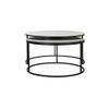 Americus Nesting Coffee Table - Set Of 2