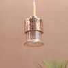 Eliante Hanging Light, Champaign Glass Shade, Mild Steel, 1 Bulb - Modern Pendant Lamp For Home Decor
