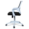 Xeanea Mid Back Ergonomic Chair in Black Colour