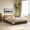 Satya Engineered Wood Queen  Size Bed With Box Storage (Walnut Finish)