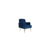 Esme Solid Wood Accent Chair in Blue Colour