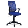 Zeeazyana Mid Back Ergonomic Chair in Blue Colour