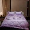 Stoa Paris Comforter Set Double Bed, 300TC Satin Double Bed Comforters in  Lilac