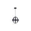 USD Black Metal Hanging Light