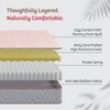 Kurlon Ortho Plus Spring Medium Firm King Orthopedic Mattress 84x72x6 Inch
