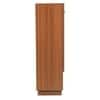 Footra Engineered Wood Shoe Rack in Walnut Finish
