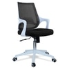 Xeanea Mid Back Ergonomic Chair in Black Colour