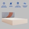 Ashtanga Engineered Wood Queen  Size Bed With Hydraulic Storage (Melamine Finish, White Colour)