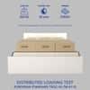 Japa Engineered Wood Queen  Size Bed With Hydraulic Storage (Melamine Finish, White Colour)