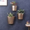 Hammered Wall Planter Set Of 3 By Amaya Decors In Gold Colour