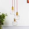 Demarius Cluster Round Hanging Pendant Light