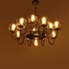 Eliante Chandelier, Champaign Glass Shades, 13-Light, Mild Steel, Modern Ceiling Light Fixture