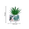 Attractive Aloe Vera Plant With Leafy Print Ceramic Pot