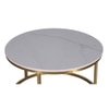 Selma Round Metal Coffee Table In Gold Finish
