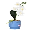 Artistic Blue Face Planter With White Artificial Orchids