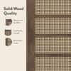 Fujiwara 20 Pair Solid Wood and Cane Shoe Cabinet With Drawer In Danish Walnut Finish