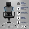 Zeus Study Chair
