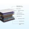 Strength Plus - Doctor Recommended 5 Zone Dual Density Orthopedic Support layer High Density Coir Memory Foam Mattress (72 x 35 in, 8 Inches)