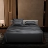 Stoa Paris Super King Size Bedsheet with 4 Pillow Covers  Size Twilight Embrace