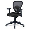 Aaeroa Low Back Ergonomic Chair in Black Colour